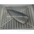 New Arrival Frozen Fish Mackerel Fillets For Wholesale